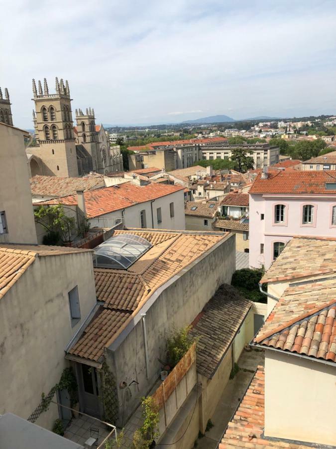 Sous Le Toit Pres De La Cathedrale St.Pierre Apartment Montpellier Luaran gambar